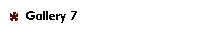 Gallery 7
